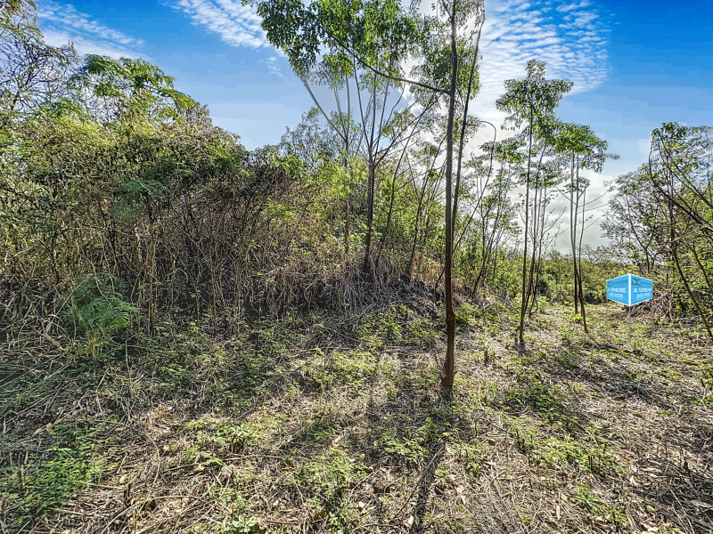 terrain en vente sur Grand Baie Grand Baie Terrain 1.5 ha Vente