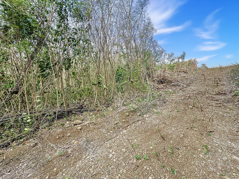 terrain en vente sur Grand Baie Grand Baie Terrain 1.5 ha Vente