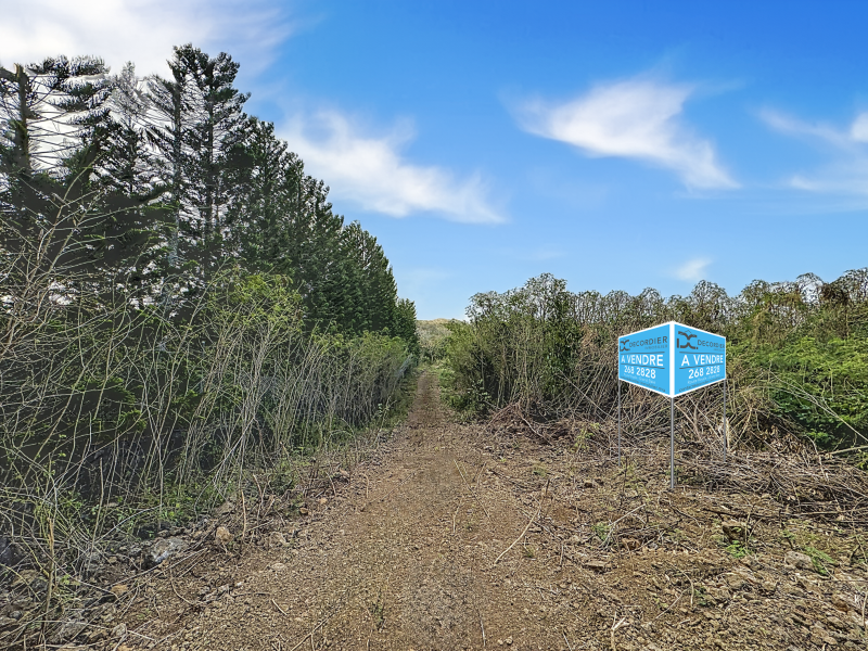 terrain en vente sur Grand Baie Grand Baie Terrain 1.5 ha Vente