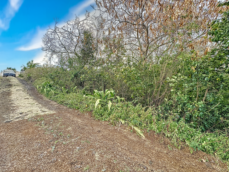 land for sale on Calodyne Calodyne Land 778.68 m² Sale