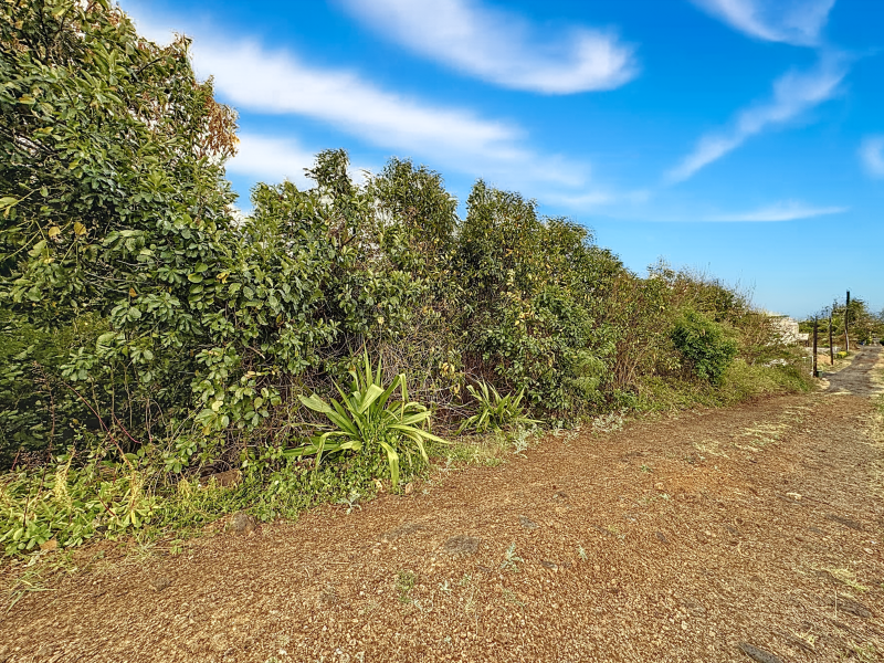 land for sale on Calodyne Calodyne Land 778.68 m² Sale