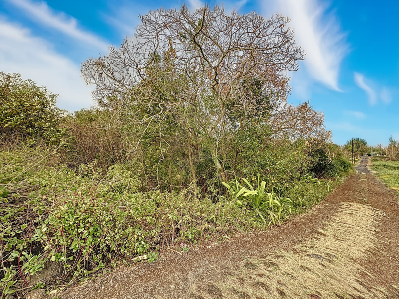 Calodyne Land 778.68 m² Sale