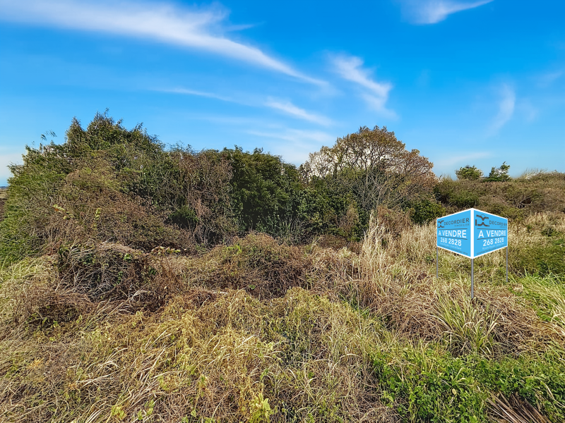 Calodyne Land 778.68 m² Sale