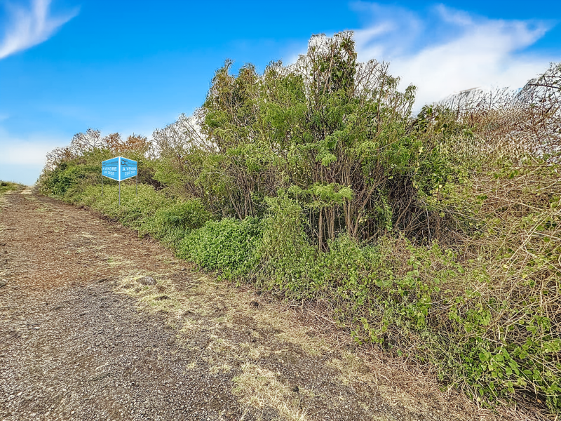 Calodyne Land 778.68 m² Sale