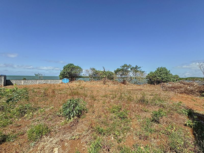 Poudre d'or Land 1146 m² Sale