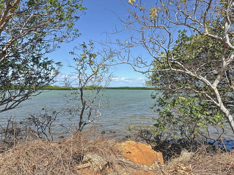 Poudre d'or Land 1146 m² Sale