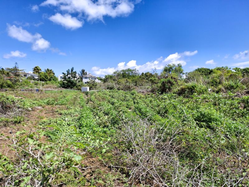 Pereybere Buildable land 600 m² Sale