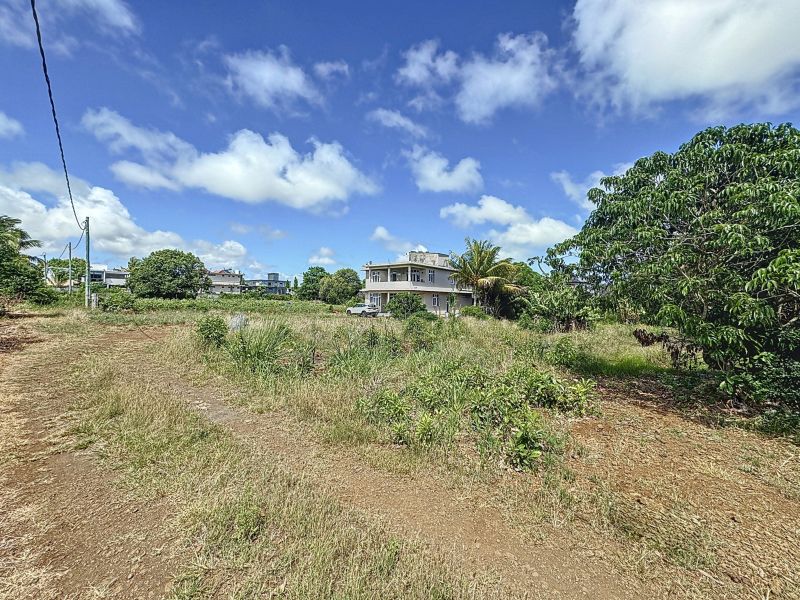 Calodyne Terrain 1055.25 m² Vente