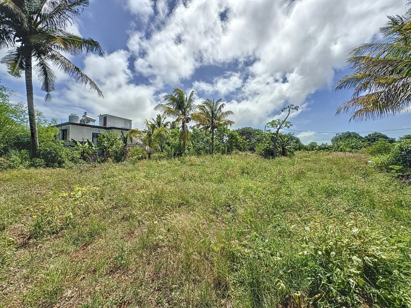 Calodyne Terrain 1055.25 m² Vente