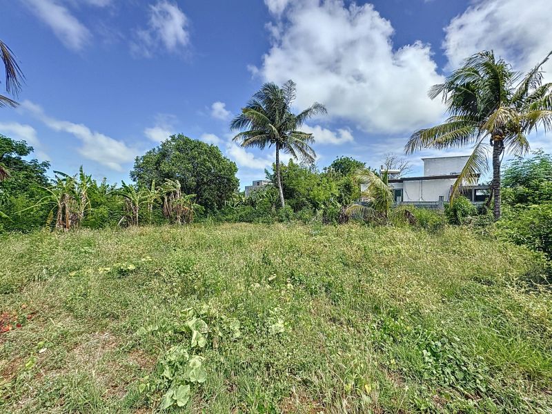 Calodyne Terrain 1055.25 m² Vente