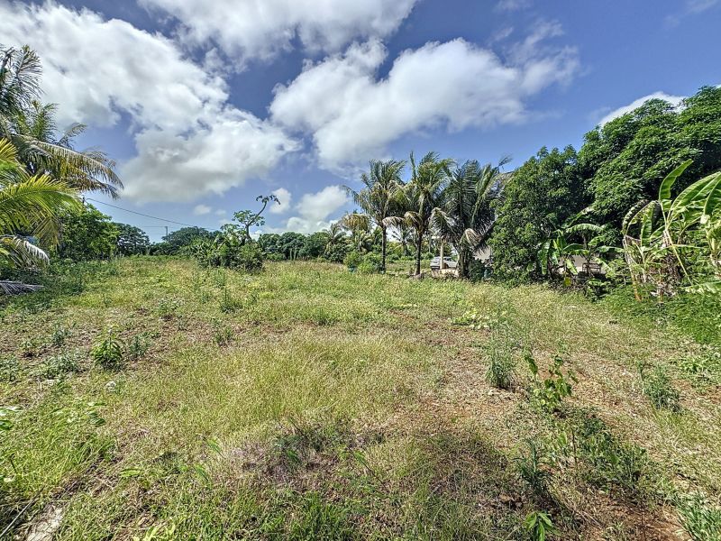 Calodyne Terrain 1055.25 m² Vente