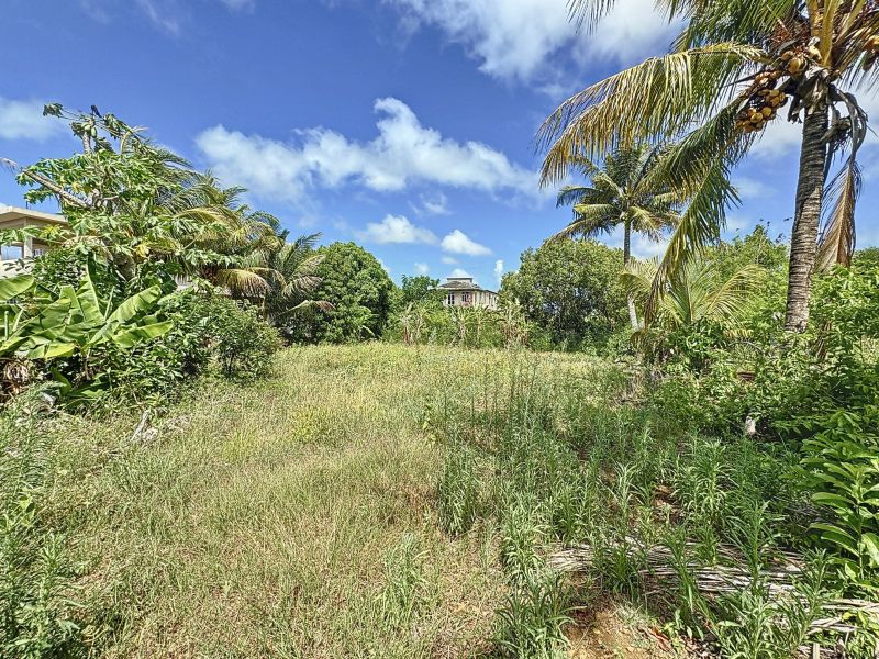 Calodyne Terrain 1055.25 m² Vente