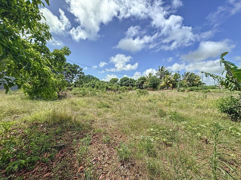 Calodyne Terrain 1055.25 m² Vente