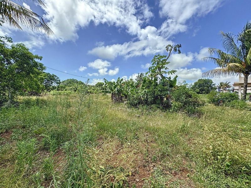 Calodyne Terrain 1055.25 m² Vente