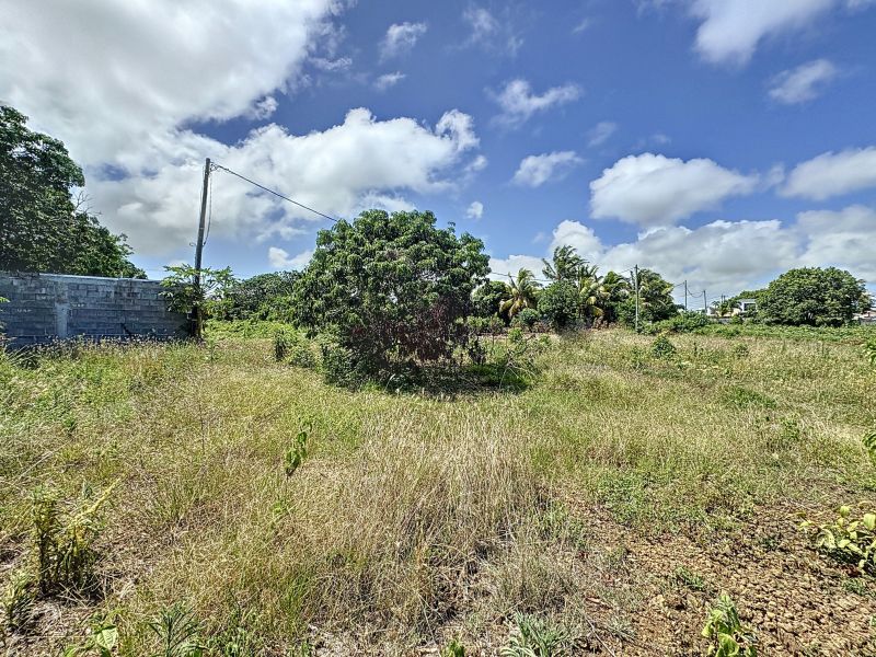 Calodyne Terrain 1055.25 m² Vente