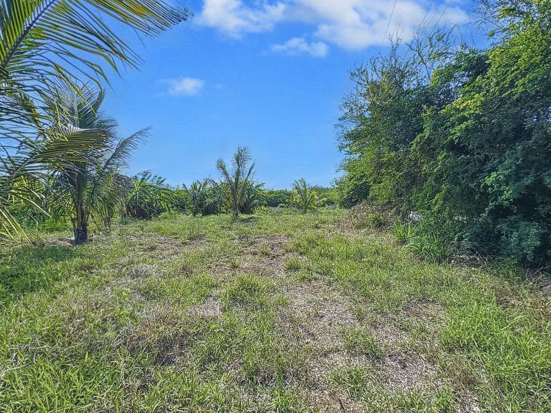 Balaclava Terrain 5276 m² Vente