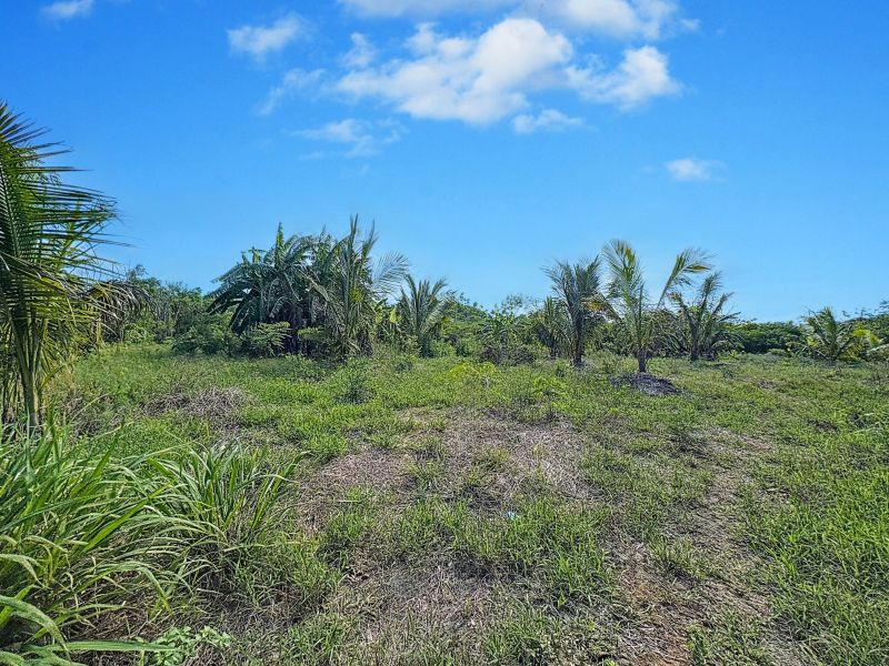 Balaclava Terrain 5276 m² Vente