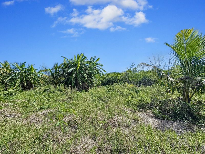 Balaclava Terrain 5276 m² Vente