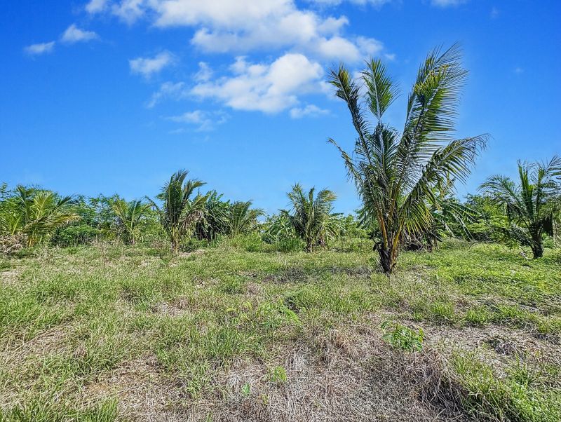 Balaclava Terrain 5276 m² Vente