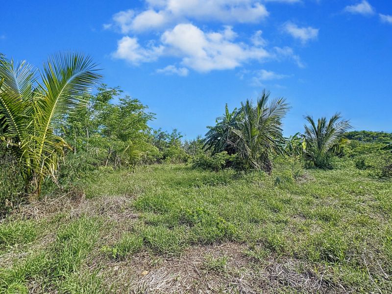 Balaclava Terrain 5276 m² Vente