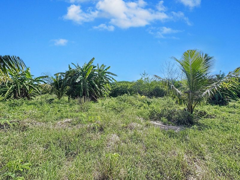 Balaclava Terrain 5276 m² Vente