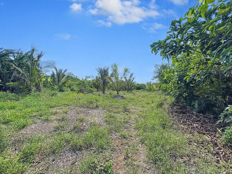 Balaclava Terrain 5276 m² Vente