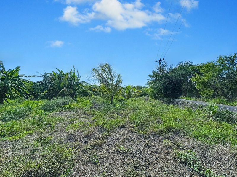 Balaclava Terrain 5276 m² Vente