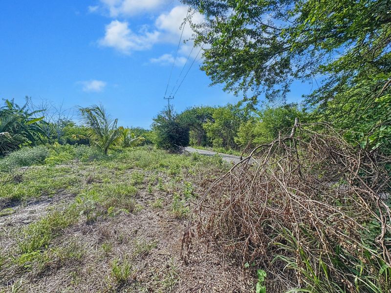 Balaclava Terrain 5276 m² Vente