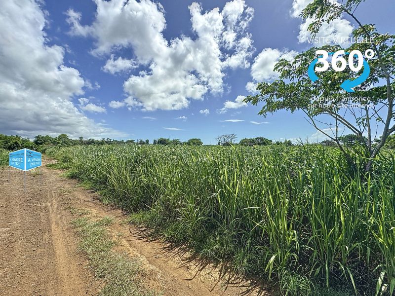 Calodyne Land 2134.19&nbsp;m² Sale