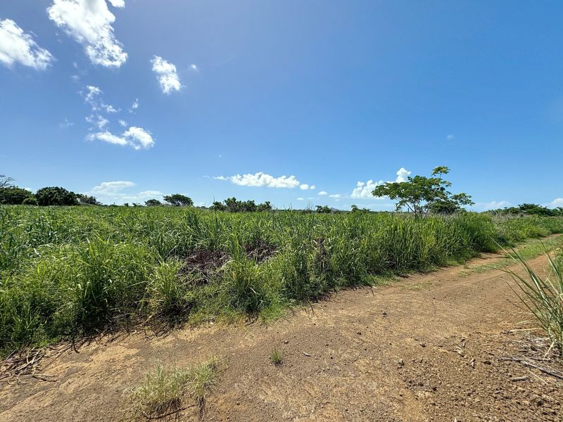 terrain en vente sur Calodyne Calodyne Terrain 2134.19 m² Vente