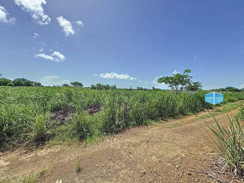 terrain en vente sur Calodyne Calodyne Terrain 2134.19 m² Vente