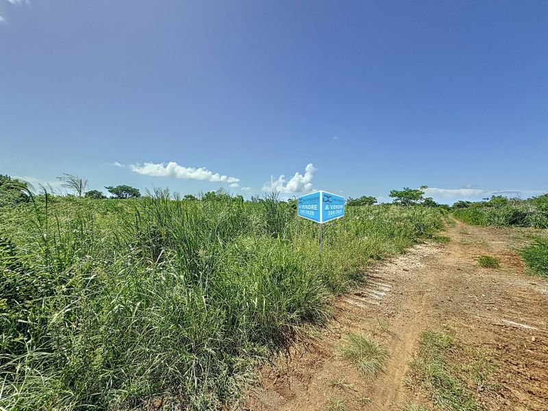 terrain en vente sur Calodyne Calodyne Terrain 2134.19 m² Vente