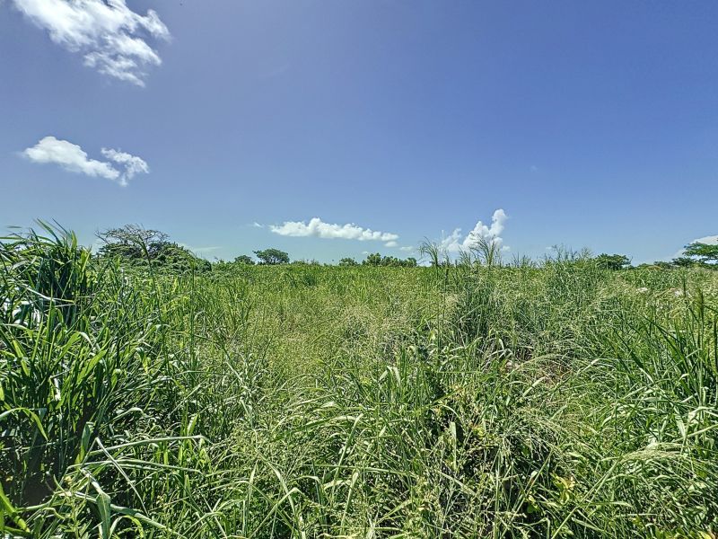 Calodyne Land 2134.19&nbsp;m² Sale
