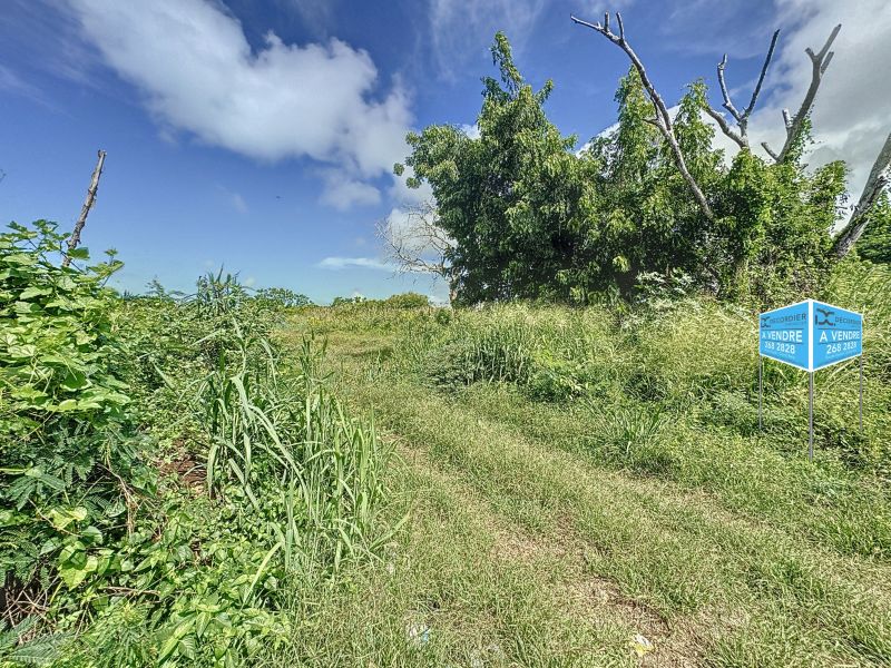terrain en vente sur Grand Gaube Grand Gaube Terrain 1054.8 m² Vente