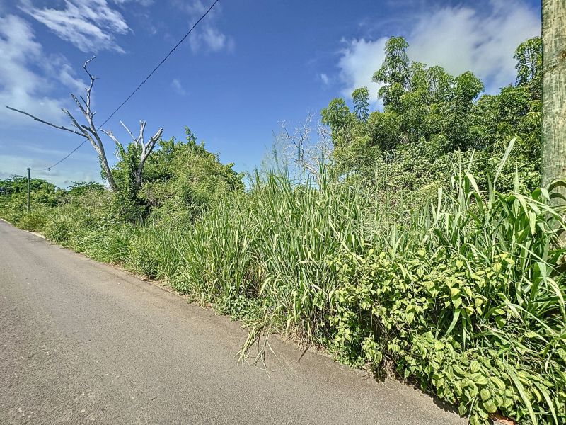 terrain en vente sur Grand Gaube Grand Gaube Terrain 1054.8 m² Vente