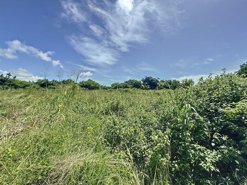Grand Gaube Terrain 710.27&nbsp;m² Vente