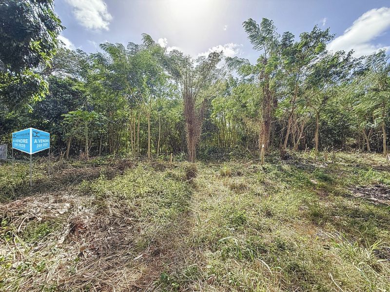 Calebasses Land 612&nbsp;m² Sale