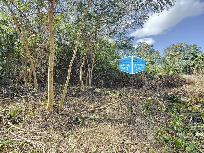 Calebasses Land 612 m² Sale