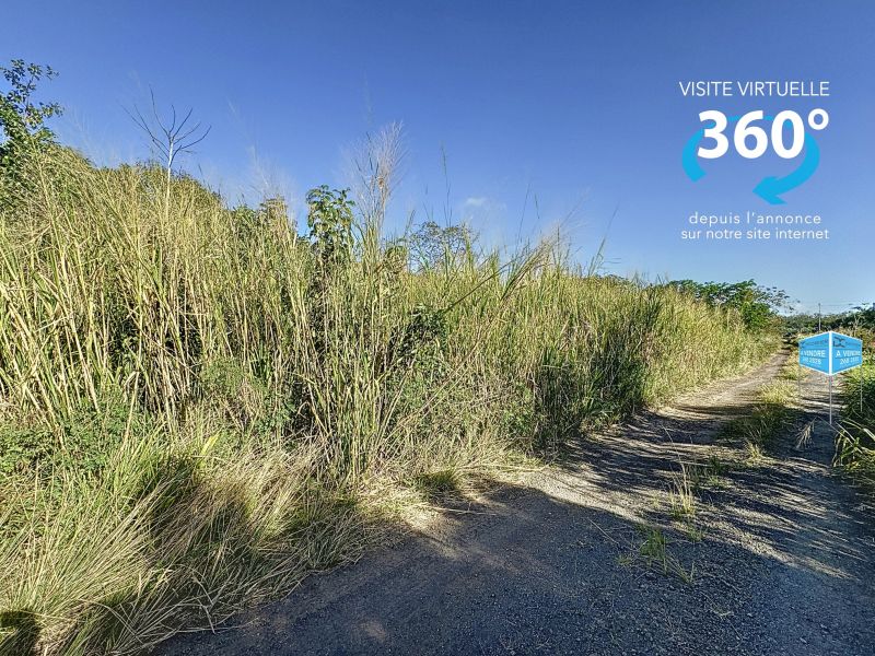 The Vale Terrain 1980.2&nbsp;m² Vente