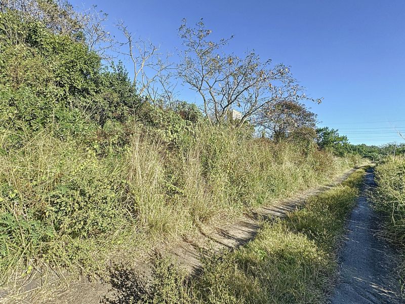 The Vale Terrain 1980.2&nbsp;m² Vente