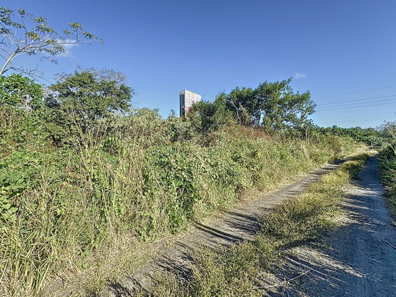 The Vale Terrain 1980.2&nbsp;m² Vente