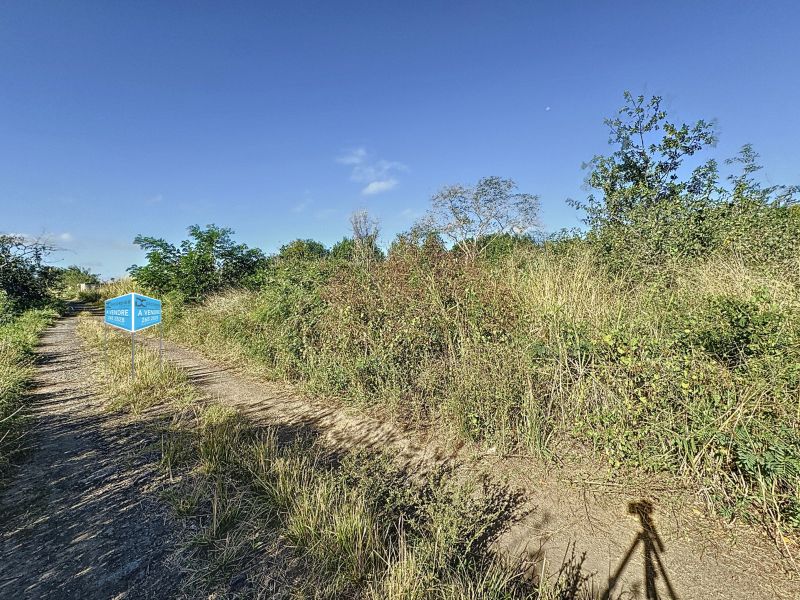 The Vale Terrain 1980.2&nbsp;m² Vente