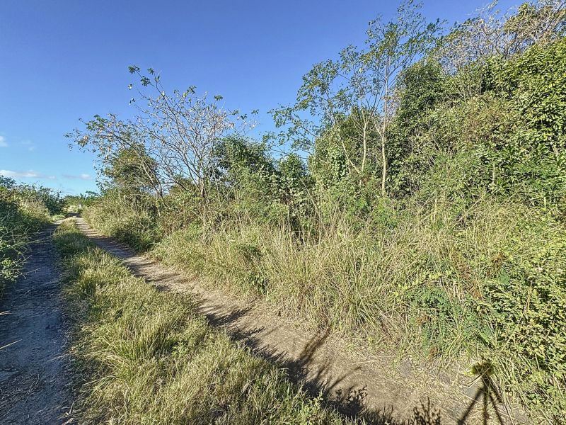 The Vale Terrain 1980.2&nbsp;m² Vente