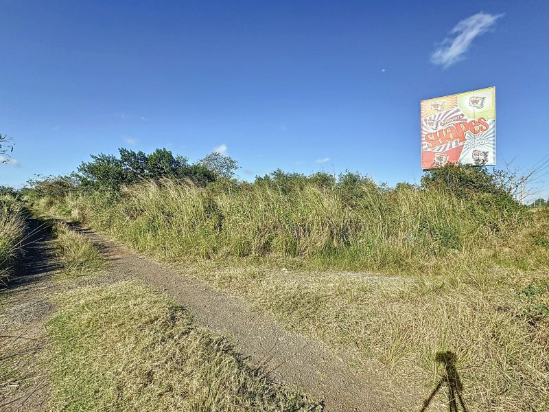 The Vale Terrain 1980.2&nbsp;m² Vente