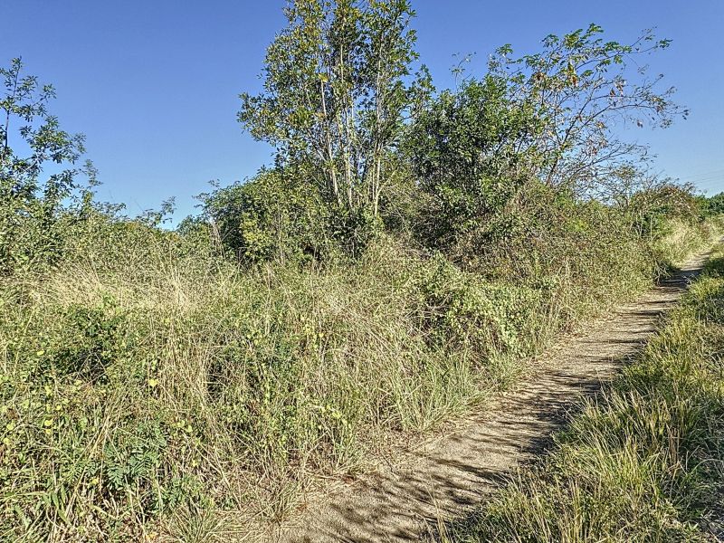 The Vale Terrain 1980.2&nbsp;m² Vente