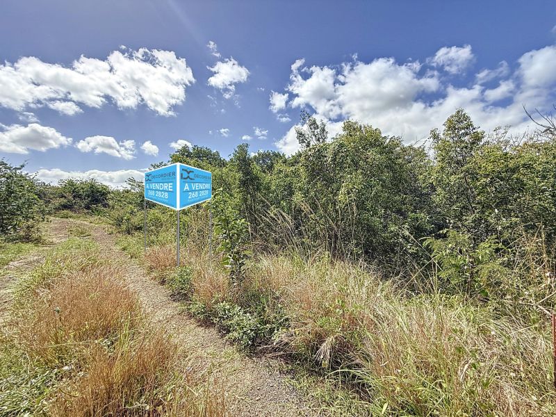 Pereybere Terrain à bâtir 520 m² Vente