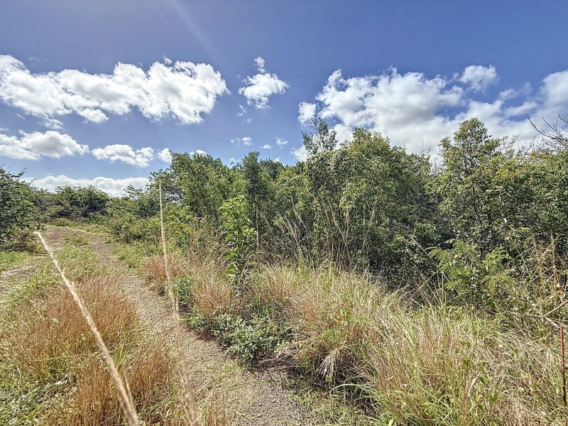 Pereybere Terrain 520 m² Vente