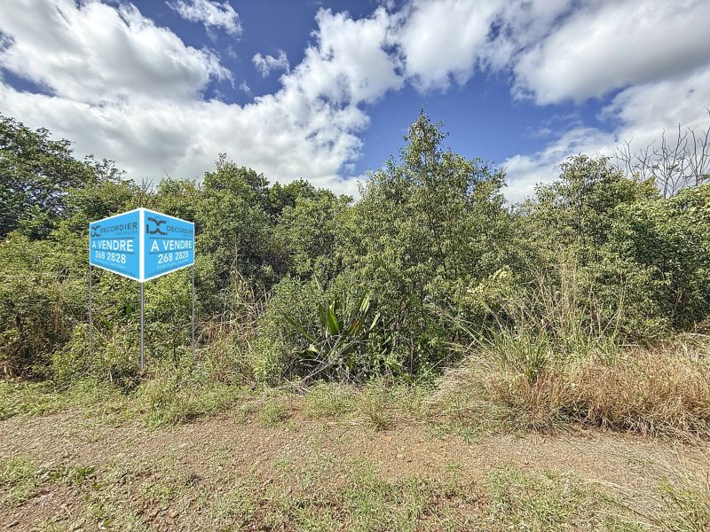 Pereybere Terrain 520 m² Vente