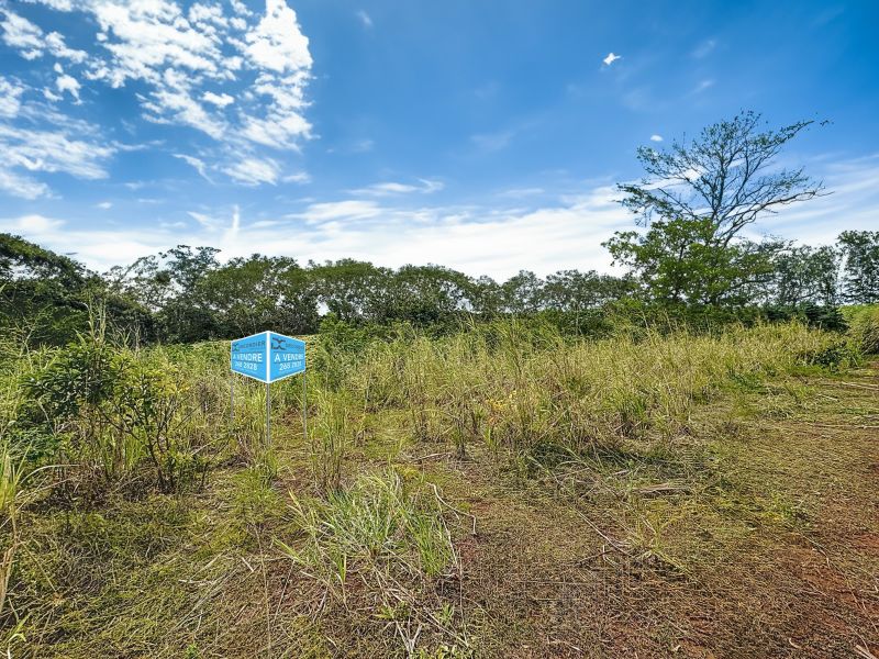 Pamplemousses Terrain 4221 m² Vente