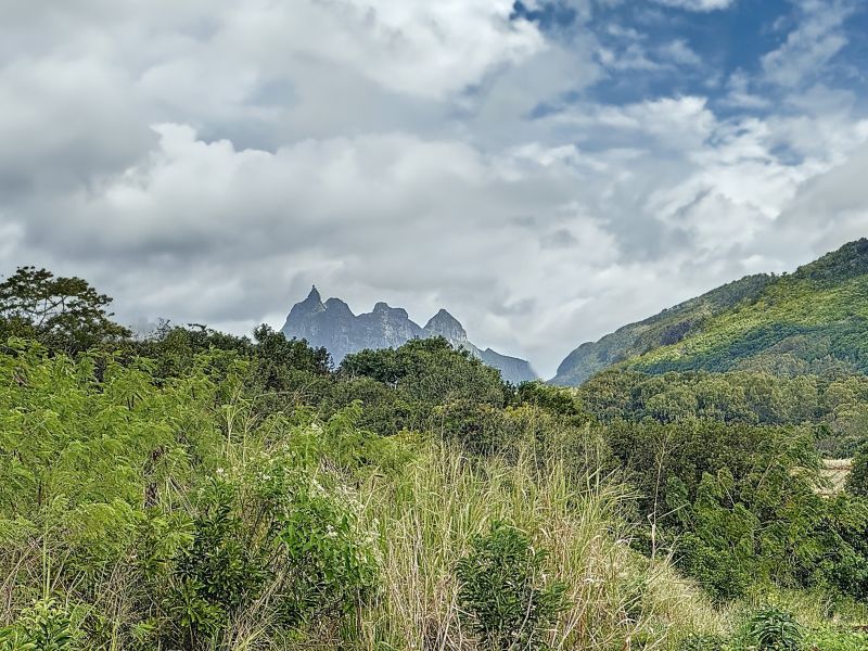 Pamplemousses Terrain 4221 m² Vente